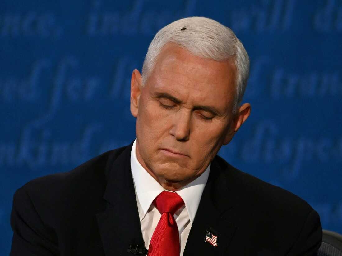 Uma mosca pousa na cabeça de Pence enquanto ele toma notas durante o debate vice-presidencial.